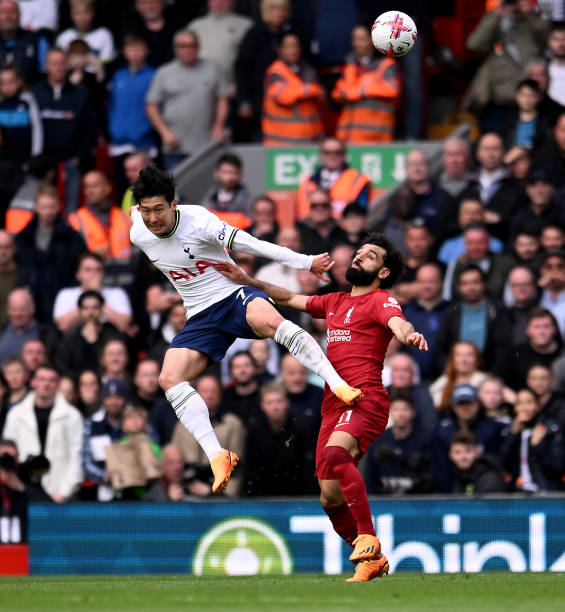 他们以顽强 他们以顽强