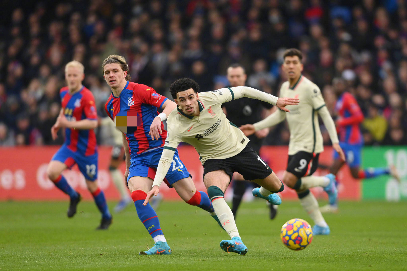 往成为热门 往成为热门